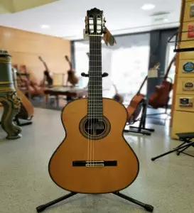 قیمت گیتار آدمیرا f4